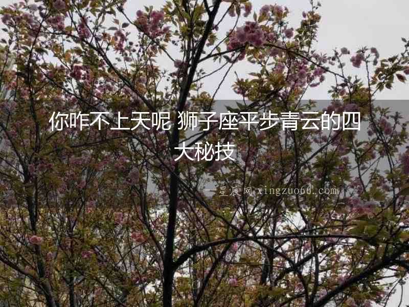 你咋不上天呢 獅子座平步青云的四大秘技