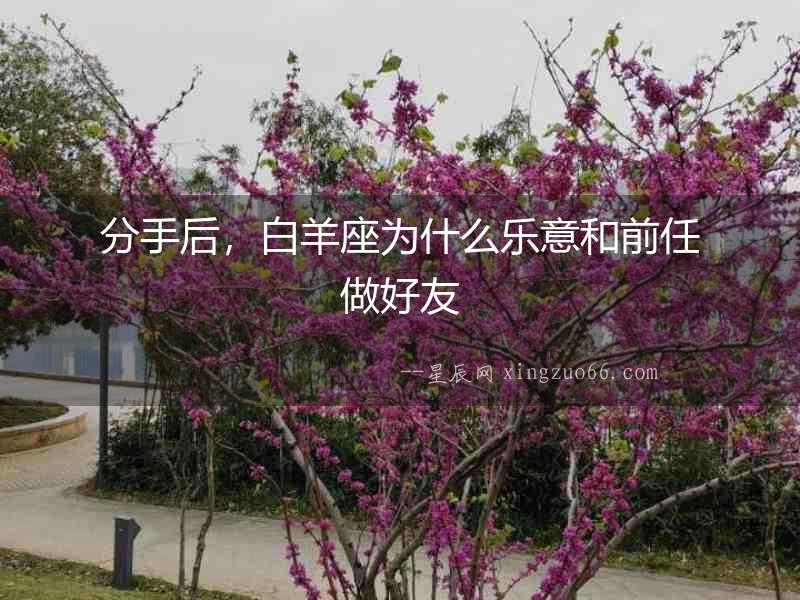 分手后，白羊座為什么樂意和前任做好友