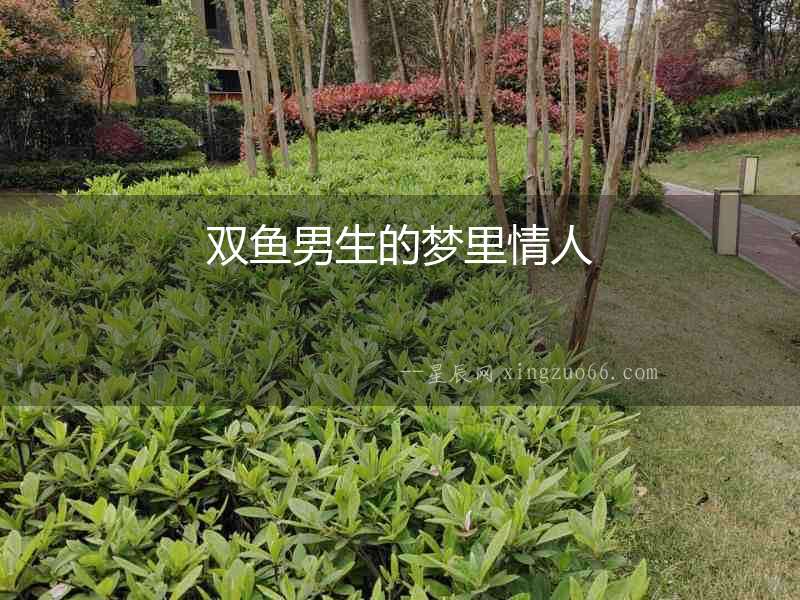 雙魚男生的夢里情人