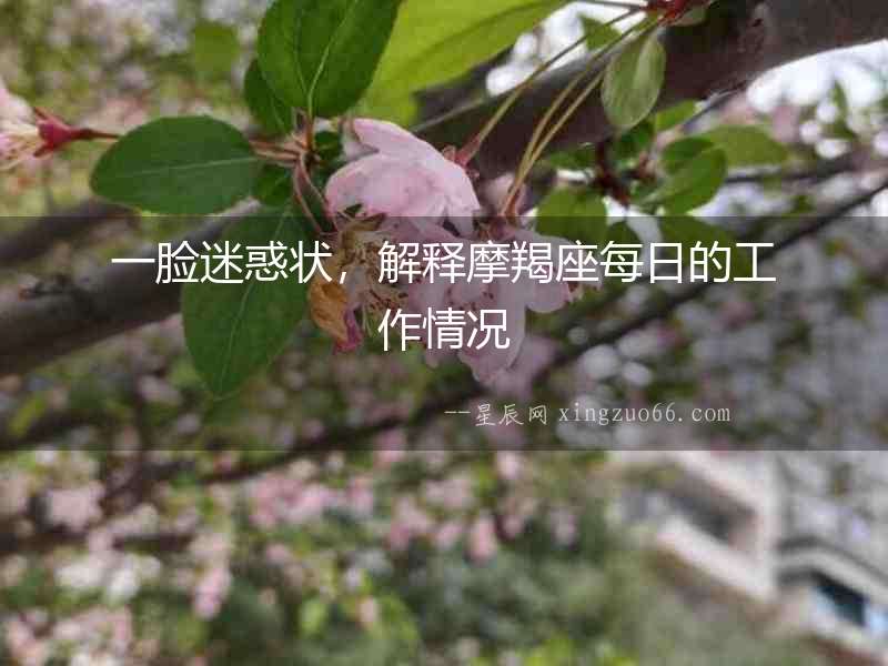 一臉迷惑狀，解釋摩羯座每日的工作情況