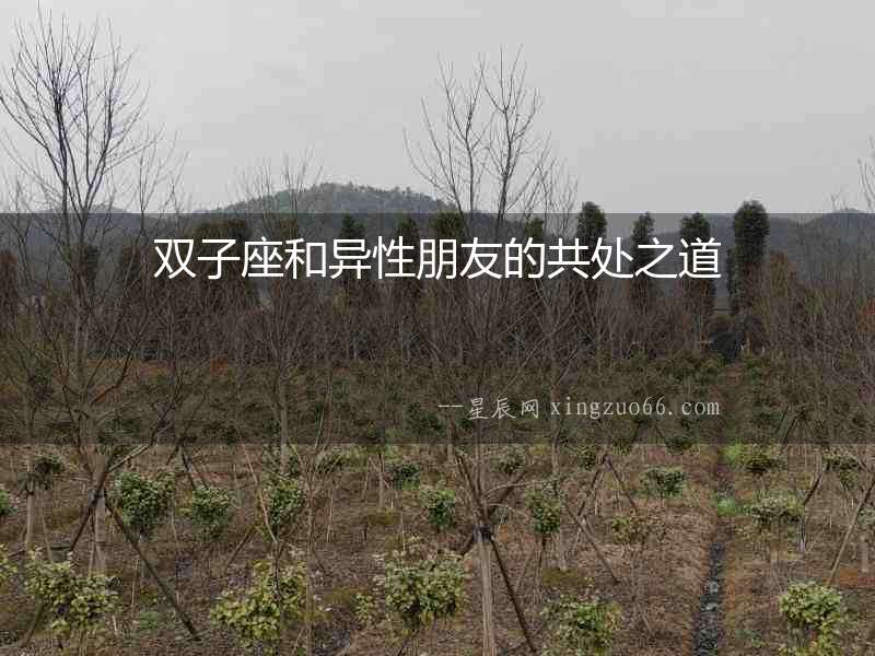 雙子座和異性朋友的共處之道