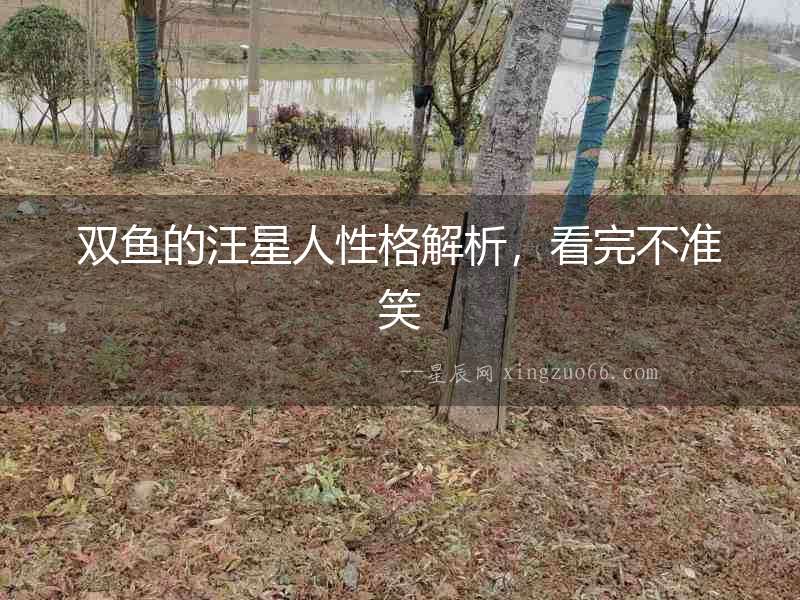 雙魚的汪星人性格解析，看完不準笑