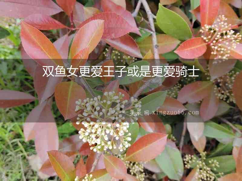 雙魚女更愛王子或是更愛騎士