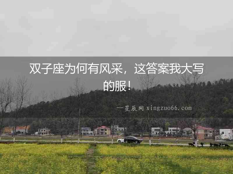 雙子座為何有風采，這答案我大寫的服！