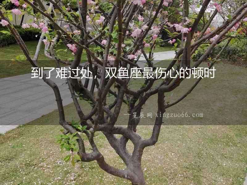 到了難過處，雙魚座最傷心的頓時(shí)
