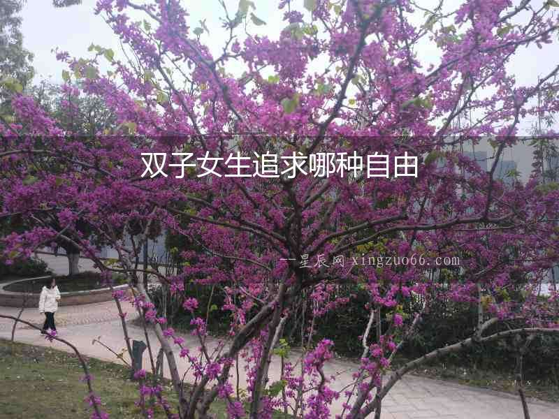雙子女生追求哪種自由