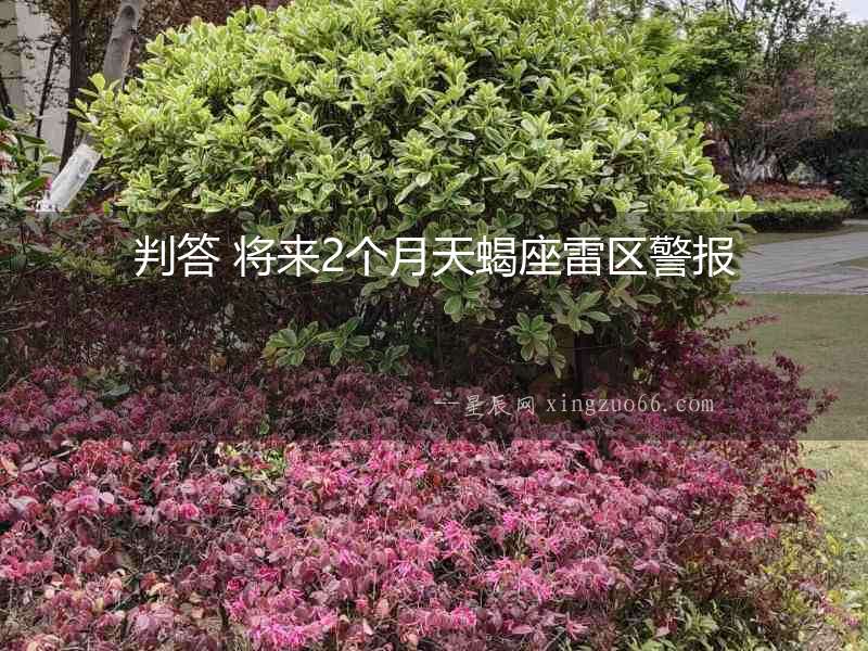 判答 將來2個月天蝎座雷區警報