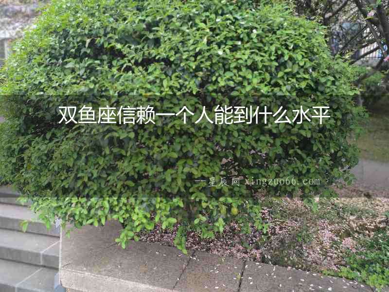 雙魚(yú)座信賴(lài)一個(gè)人能到什么水平