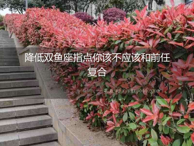 降低雙魚座指點你該不應該和前任復合