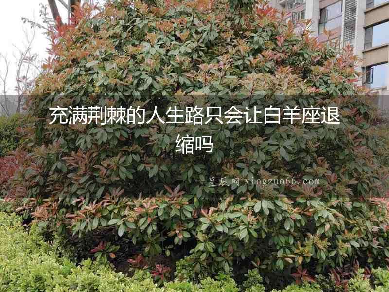 充滿荊棘的人生路只會讓白羊座退縮嗎