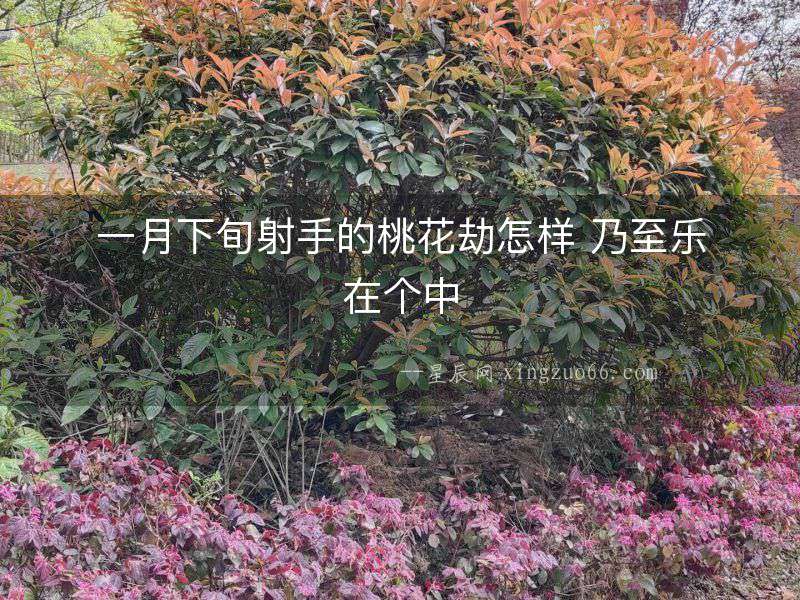 一月下旬射手的桃花劫怎樣 乃至樂在個中