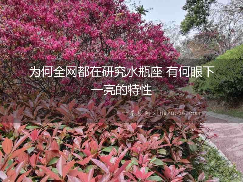 為何全網都在研究水瓶座 有何眼下一亮的特性
