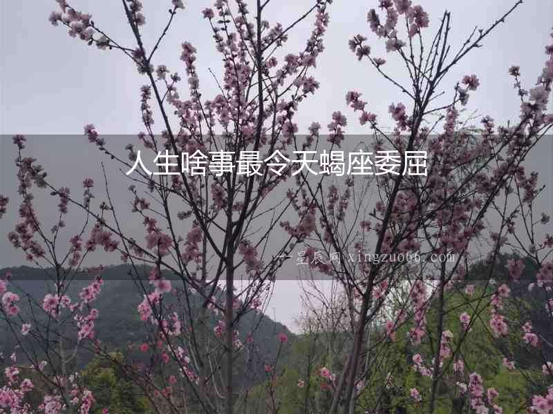 人生啥事最令天蝎座委屈