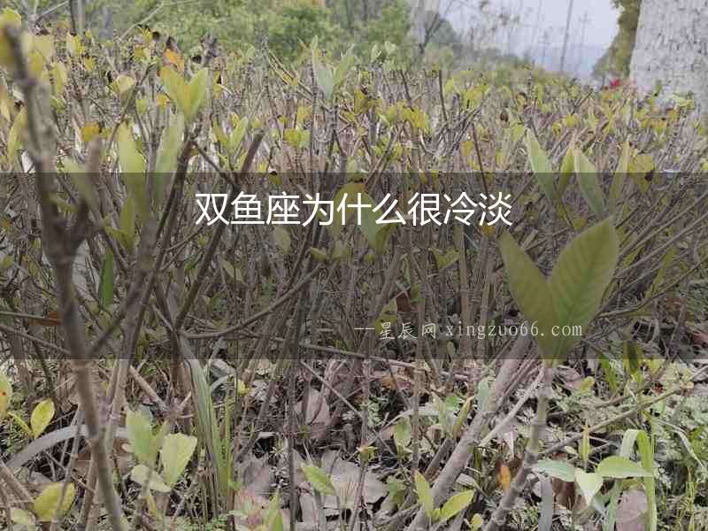 雙魚座為什么很冷淡