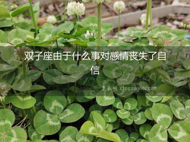 雙子座由于什么事對感情喪失了自信