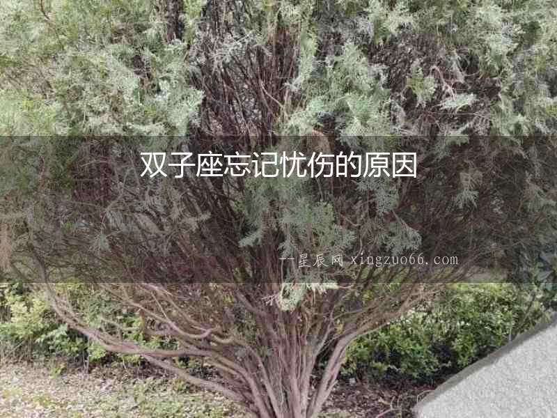 雙子座忘記憂傷的原因
