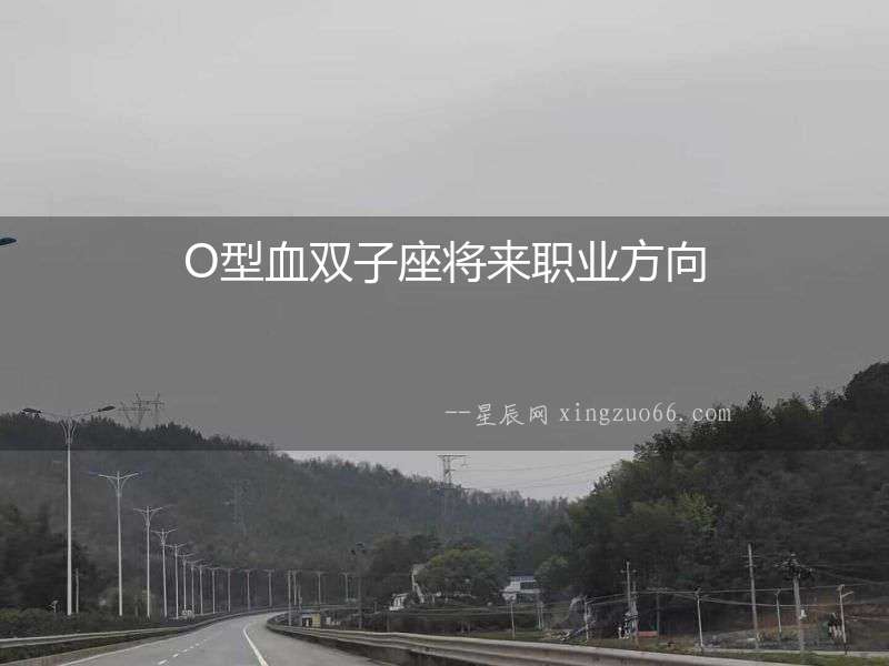 O型血雙子座將來職業(yè)方向