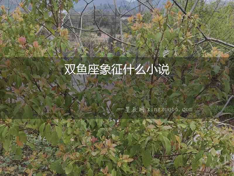 雙魚座象征什么小說