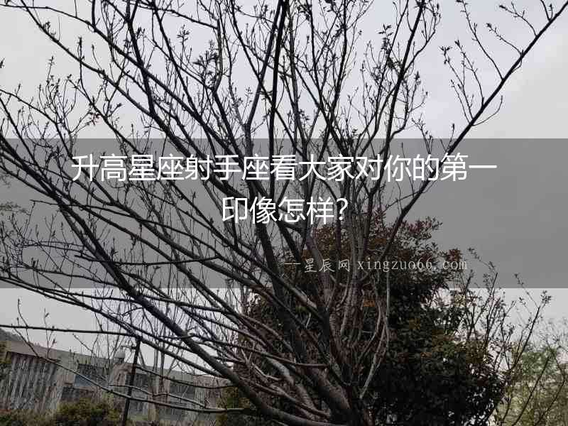 升高星座射手座看大家對你的第一印像怎樣？