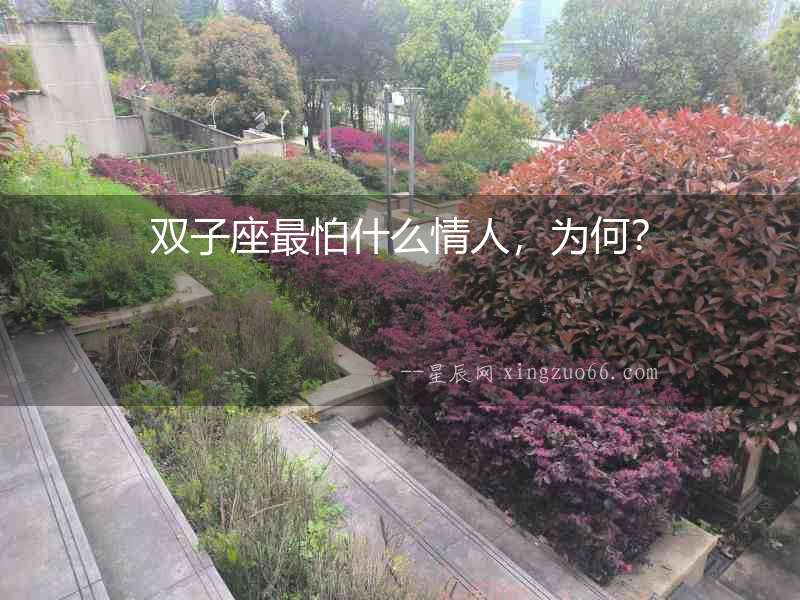 雙子座最怕什么情人，為何？