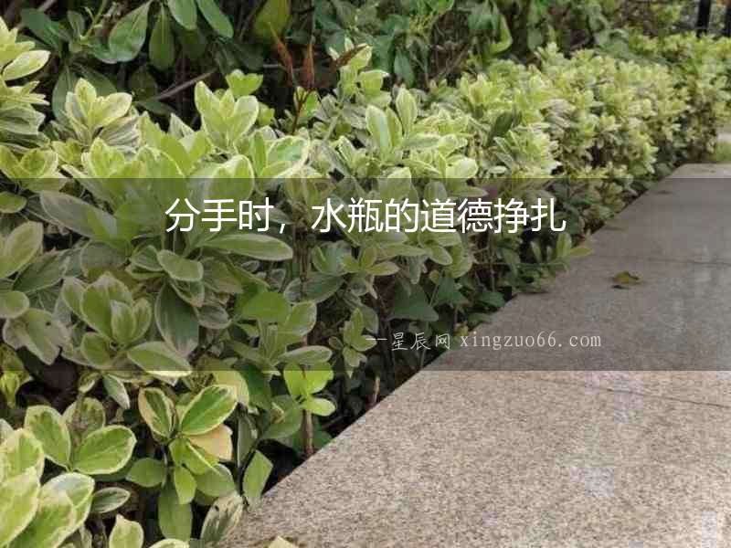 分手時，水瓶的道德掙扎