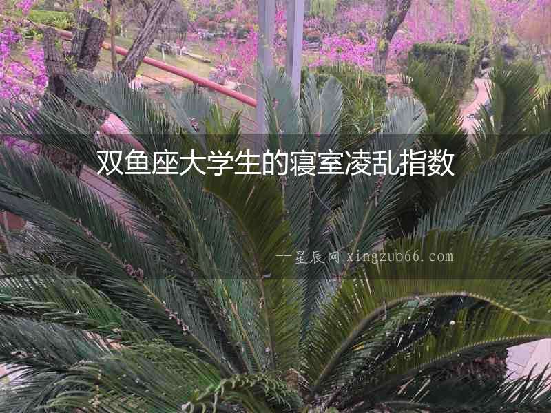 雙魚座大學(xué)生的寢室凌亂指數(shù)