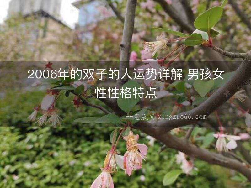 2006年的雙子的人運勢詳解 男孩女性性格特點