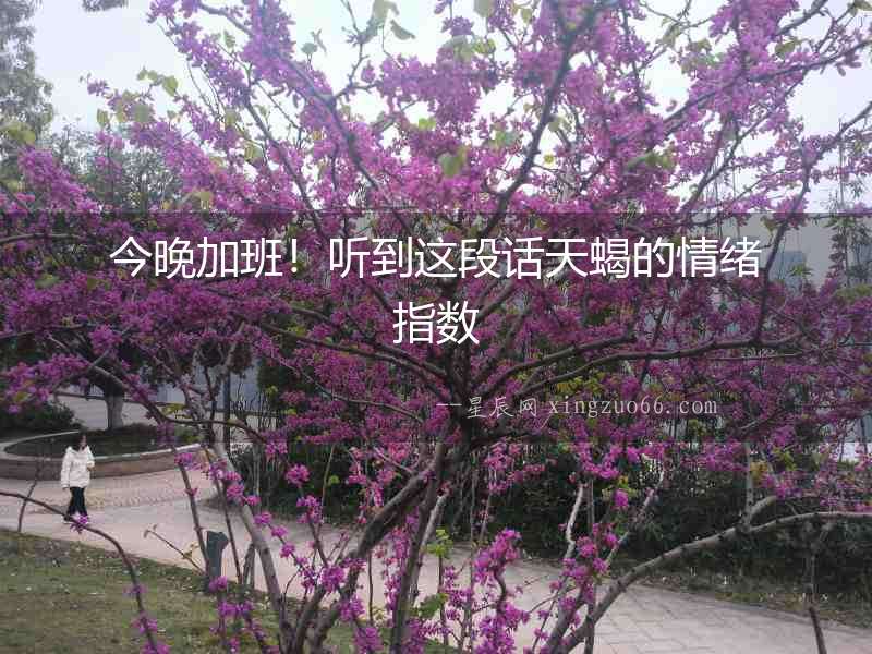 今晚加班！聽到這段話天蝎的情緒指數(shù)