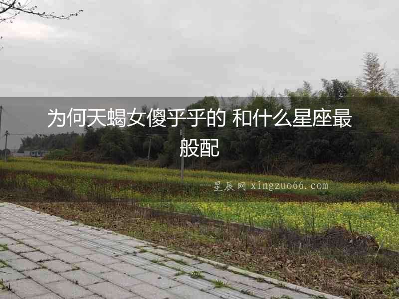 為何天蝎女傻乎乎的 和什么星座最般配