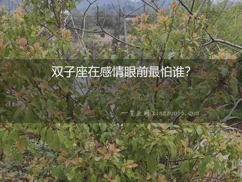 雙子座在感情眼前最怕誰？