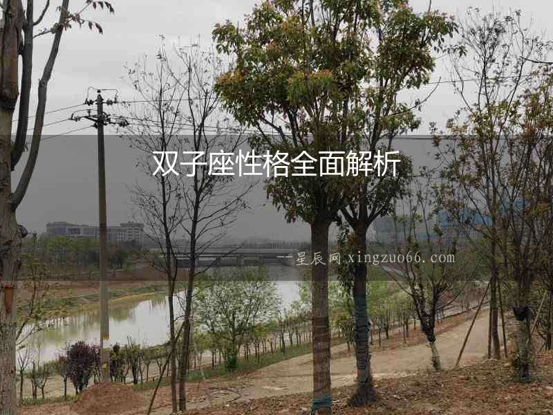 雙子座性格全面解析