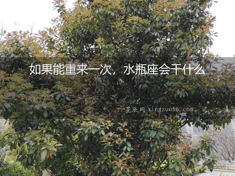 如果能重來一次，水瓶座會干什么