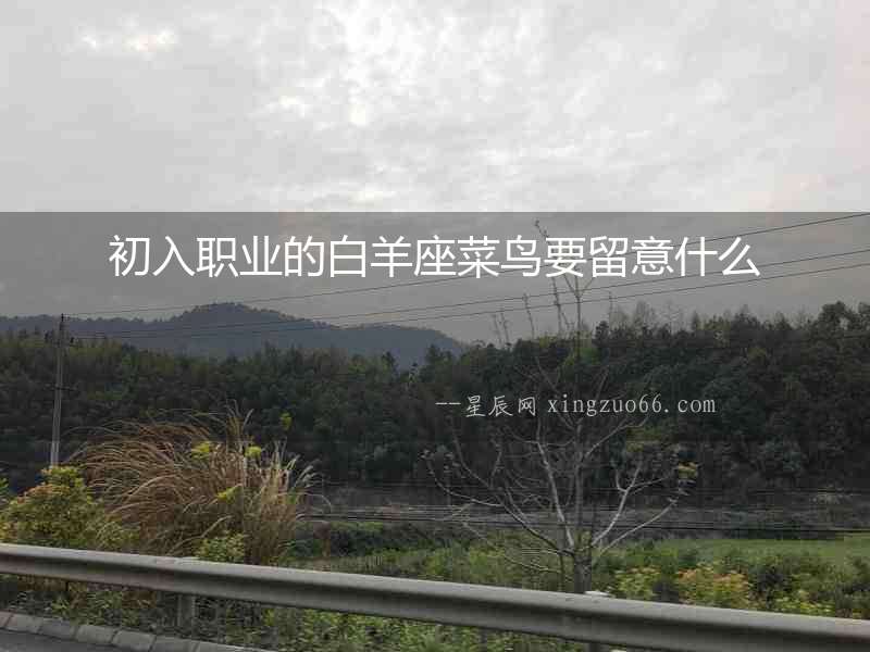 初入職業(yè)的白羊座菜鳥要留意什么
