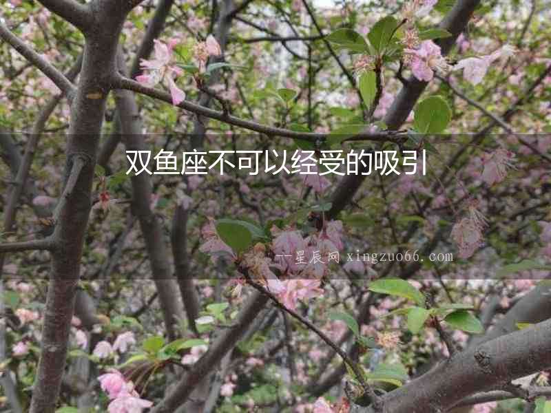 雙魚座不可以經受的吸引
