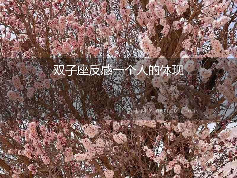 雙子座反感一個人的體現