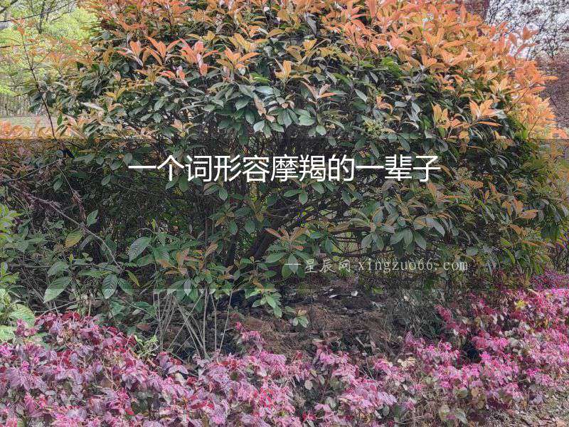 一個詞形容摩羯的一輩子