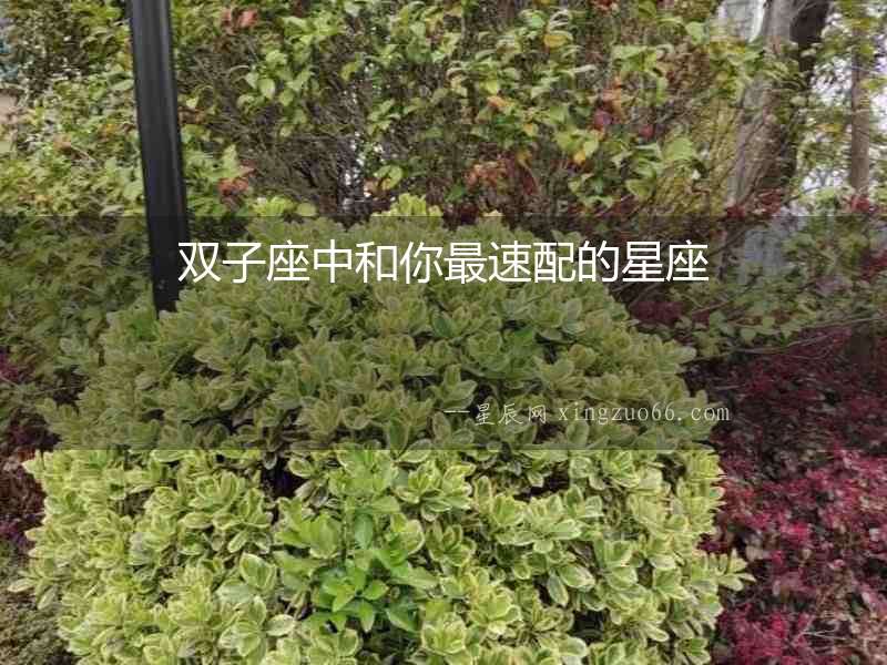 雙子座中和你最速配的星座