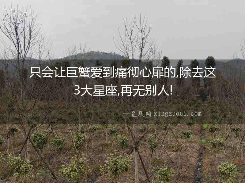 只會讓巨蟹愛到痛徹心扉的,除去這3大星座,再無別人!