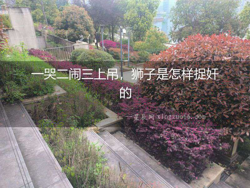 一哭二鬧三上吊，獅子是怎樣捉奸的