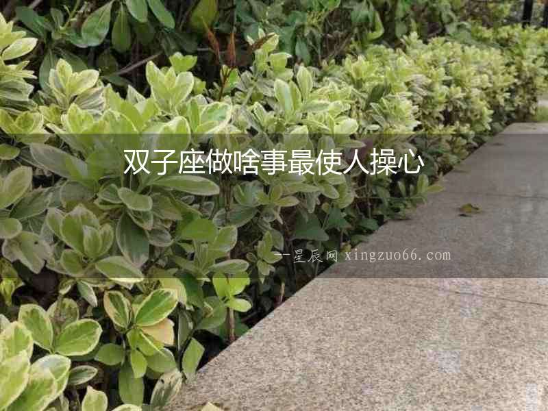 雙子座做啥事最使人操心