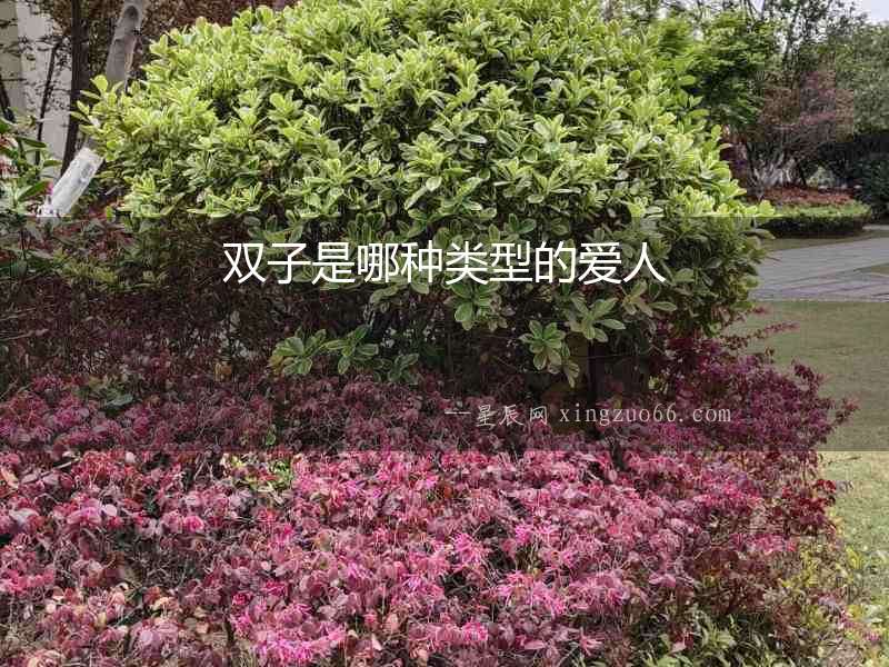 雙子是哪種類型的愛人
