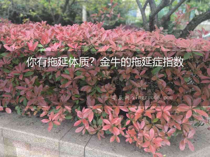 你有拖延體質？金牛的拖延癥指數