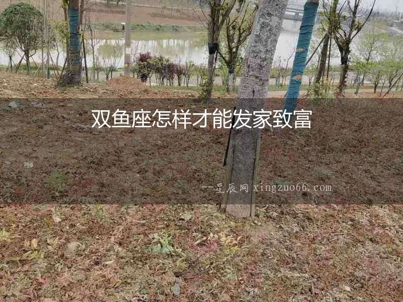 雙魚座怎樣才能發(fā)家致富
