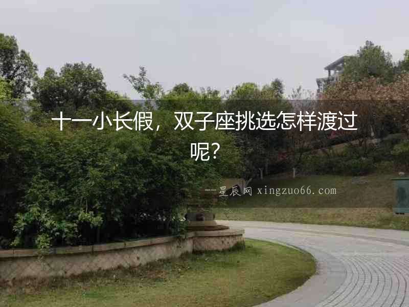 十一小長假，雙子座挑選怎樣渡過呢？