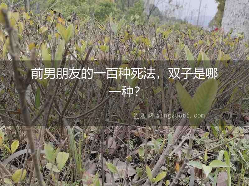 前男朋友的一百種死法，雙子是哪一種？