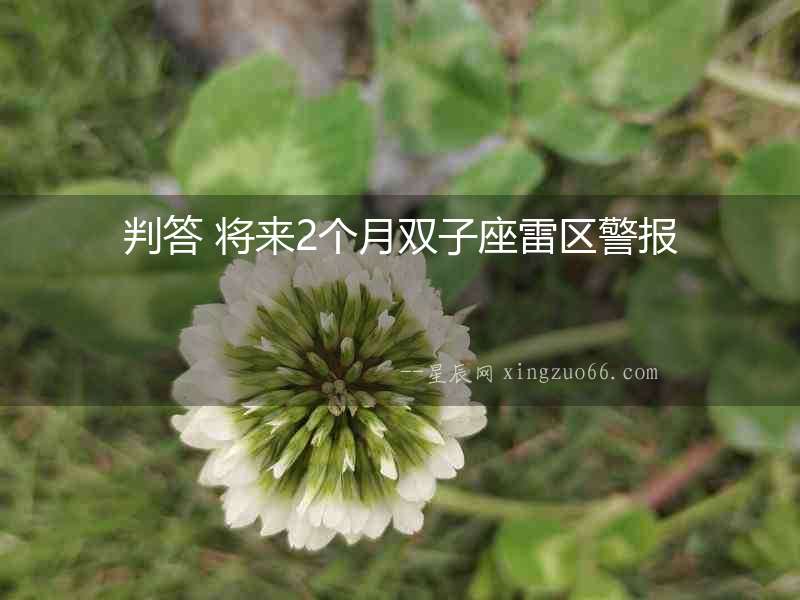 判答 將來2個月雙子座雷區警報
