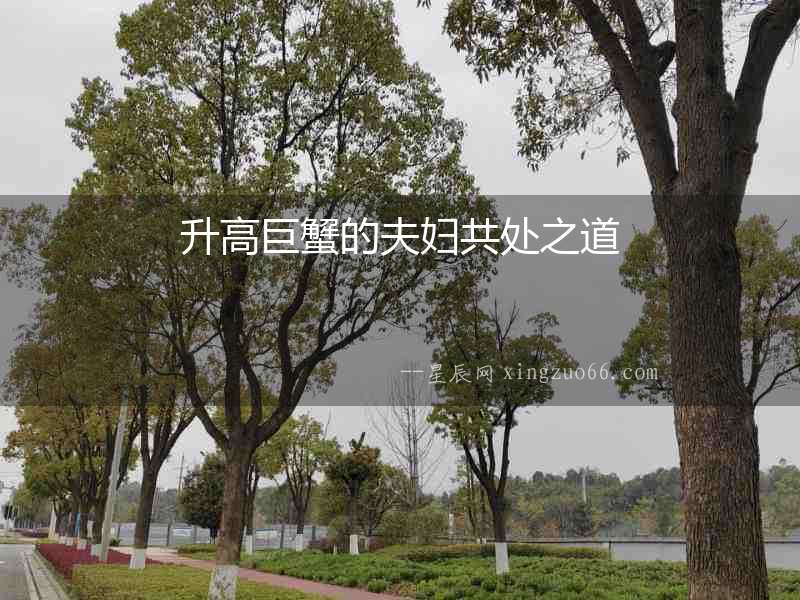 升高巨蟹的夫婦共處之道