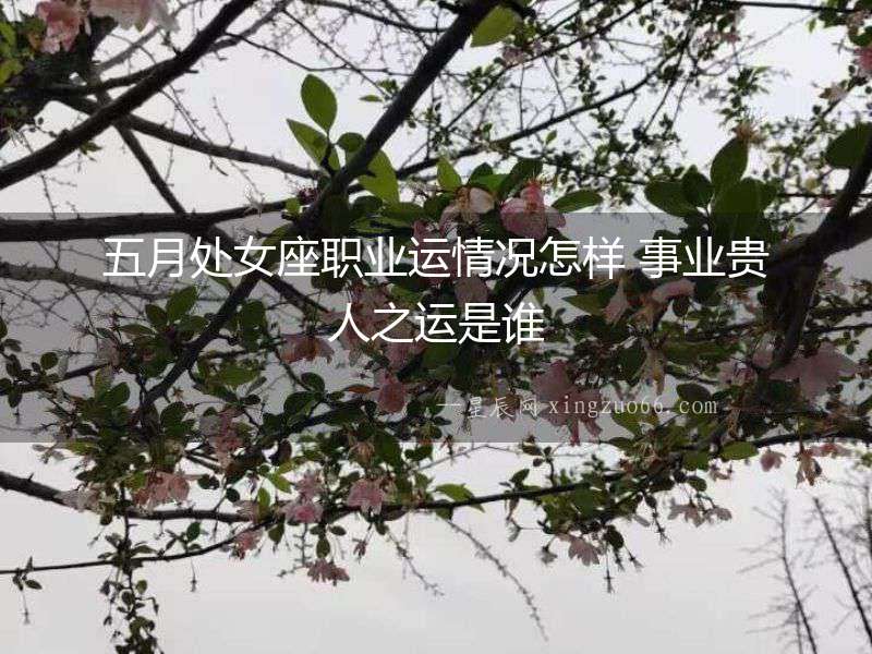 五月處女座職業(yè)運(yùn)情況怎樣 事業(yè)貴人之運(yùn)是誰