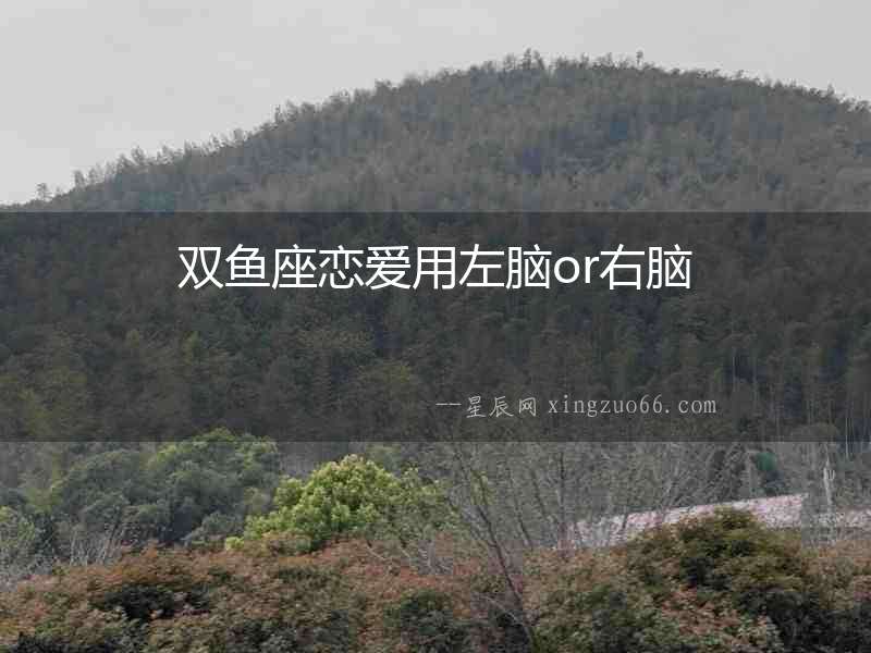 雙魚座戀愛用左腦or右腦