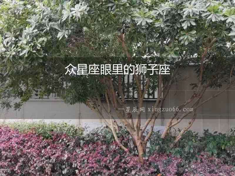 眾星座眼里的獅子座